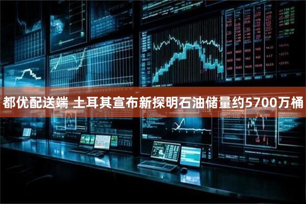 都优配送端 土耳其宣布新探明石油储量约5700万桶