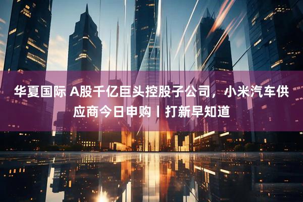 华夏国际 A股千亿巨头控股子公司，小米汽车供应商今日申购丨打新早知道